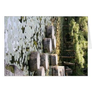 Heian Gardens Pond et Walk à Kyoto