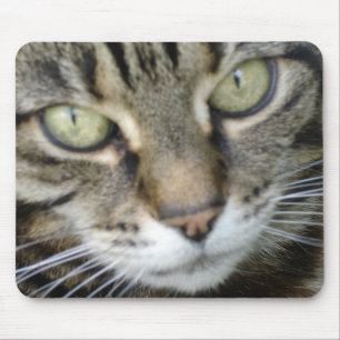 Heide-Katzen-Mäusematte Mousepad