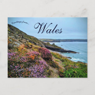 Heidekraut in Pembrokeshire Wales Postkarte