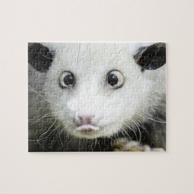 Heidi Das Mit Augen Opossum (Horizontal)
