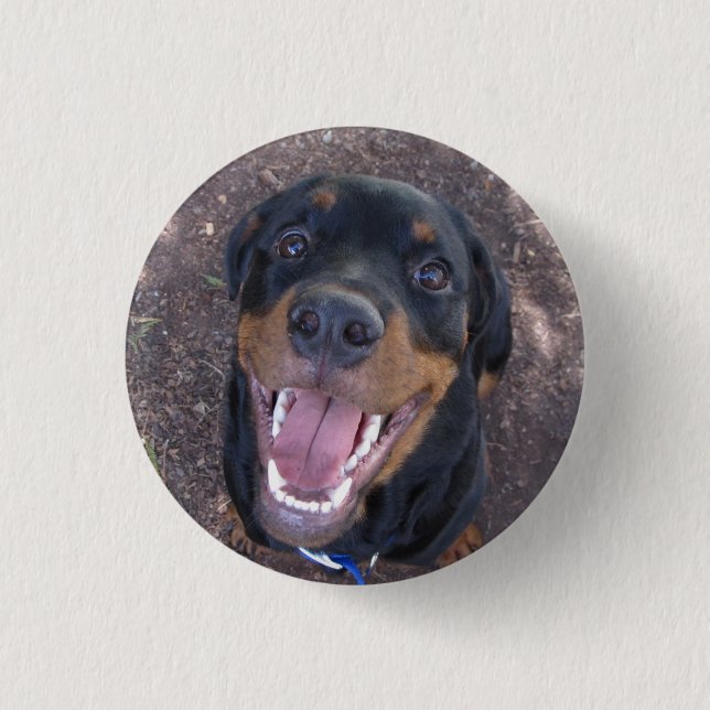 Heidi Happy Rottweiler Button (Vorderseite)