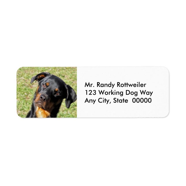 Heidi Rottweiler Étiquettes d'adresse de retour (Devant)