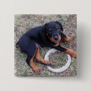 Heidi Rottweiler "Innocent"-Button Button