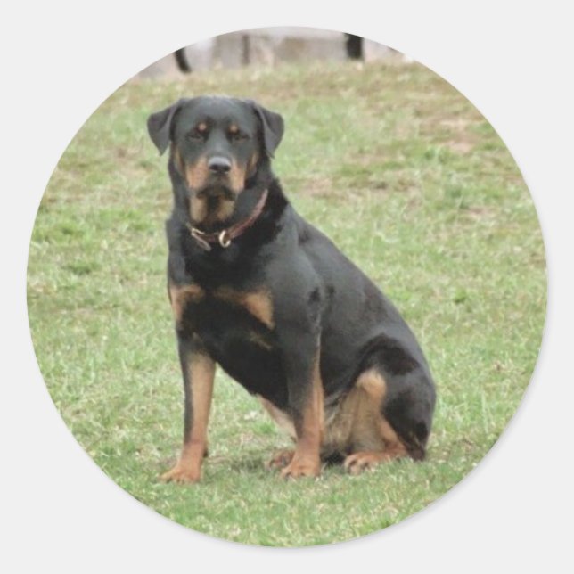 Heidi Sticker (Vorderseite)