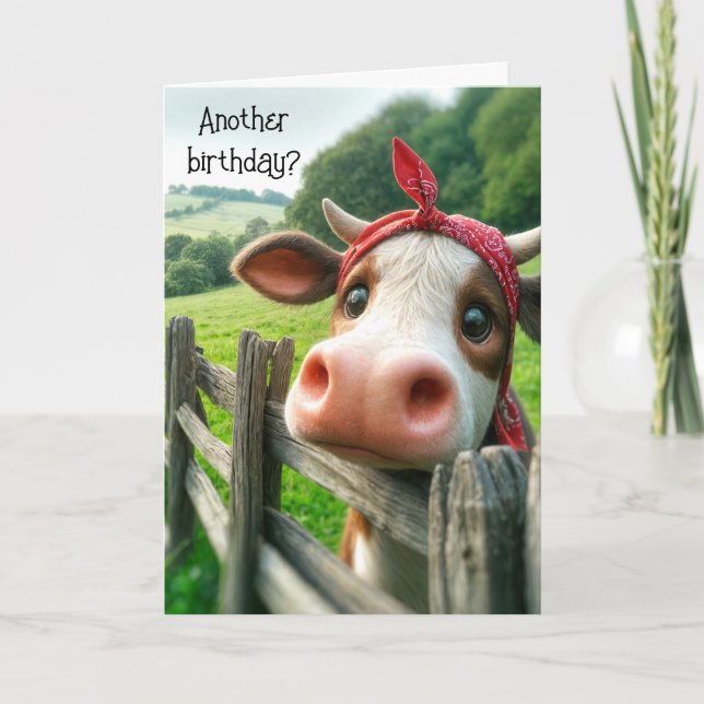 Heifer Cow Birthday Spaß Karte (Vorderseite)