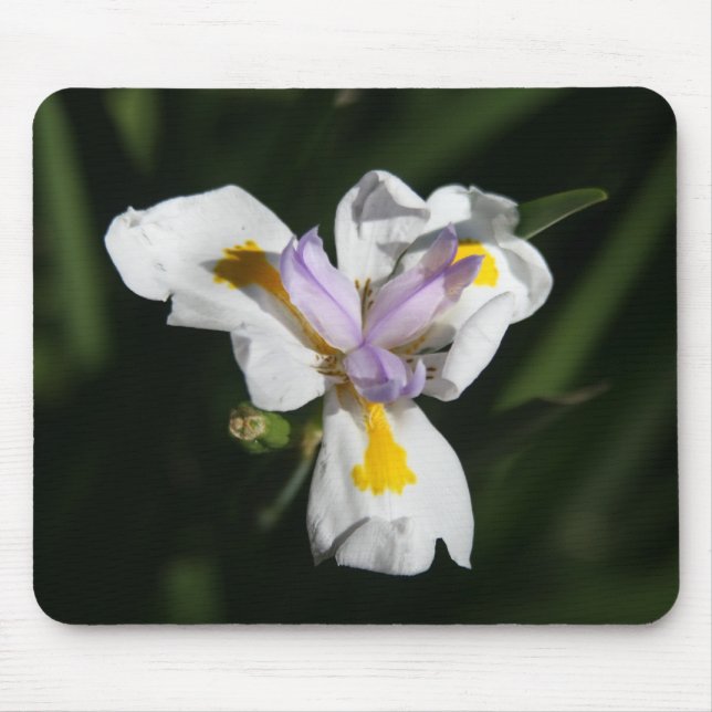 heikle Blume Mousepad (Vorne)