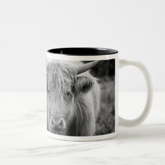 Heilan Gurren-Tasse Zweifarbige Tasse