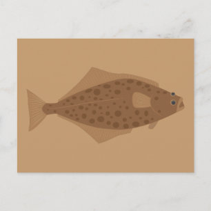 Heilbutt Fisch Postkarte