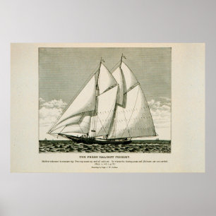 Heilbutt Schoonerplakat Poster