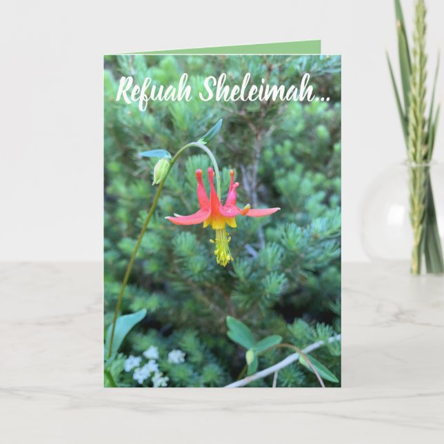 Heilgebet, Refuah Sheleimah Karte (Vorderseite)