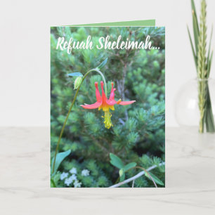 Heilgebet, Refuah Sheleimah Karte