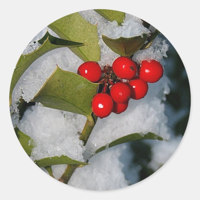 Heilige Beeren in Schneeaufklebern Runder Aufkleber (Vorderseite)