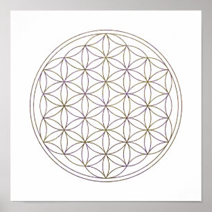 Heilige Geometrie-Blume des Lebens (V-Aubergine) Poster