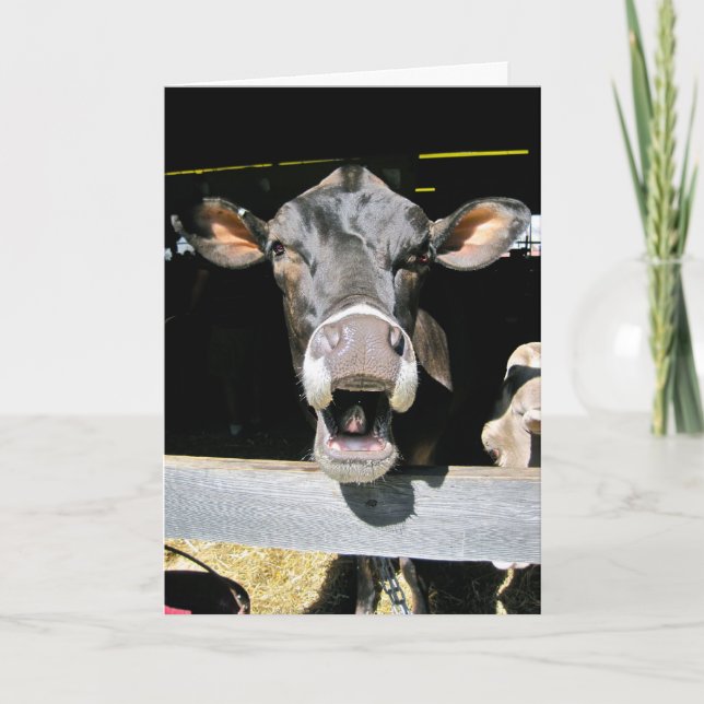 Heilige Kuh Karte (Vorderseite)