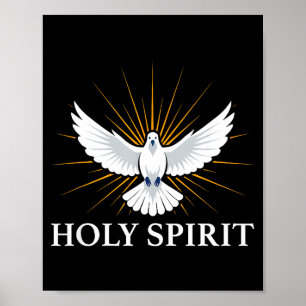 Heilige Schrift Taube Spirituelles Symbol Christli Poster