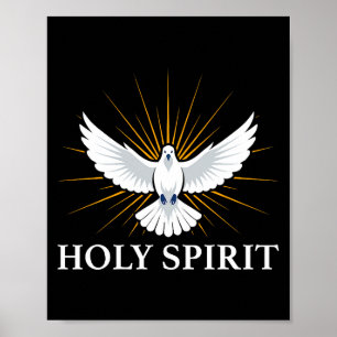 Heilige Schrift Taube Spirituelles Symbol Christli Poster