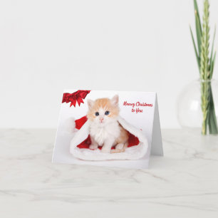 Heilige Weihnachten für Sie Niedliche Katze in Wei Karte
