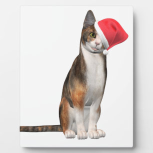 Heilige Weihnachten mit einer spielerischen Katze Fotoplatte