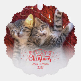 Heilige Weihnachten zwei Bilder Spaß Katzenliebhab Ornament Karte