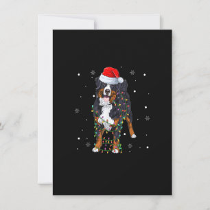 Heiliger Berner Sennenhund Weihnachtsbaum Licht Fr Einladung