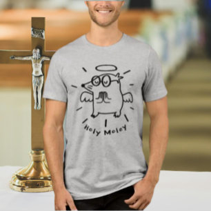 Heiliger Bimbam Lustiges Engel-Maulwurf-Illustra Tri-Blend Shirt