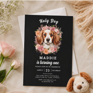 Heiliger Hund, ich bin einer! Hunde Mädchen 1. Geb Einladung