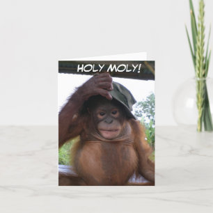 Heiliger Moly bekommt altes Niedliche Geburtstag T Karte