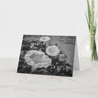 Heiliger Stechapfel Karte