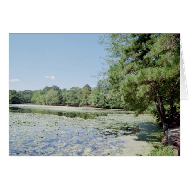 Heiligtum (Vorderseite (Horizontal))