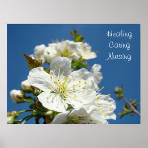 Heilung Kümmernd Pflegeplakate Blauer Himmel Blühe Poster