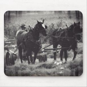 Heilung mit Pferden in Schwarz und Weiß Mousepad