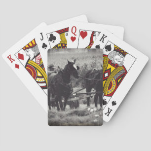 Heilung mit Pferden in Schwarz und Weiß Spielkarten