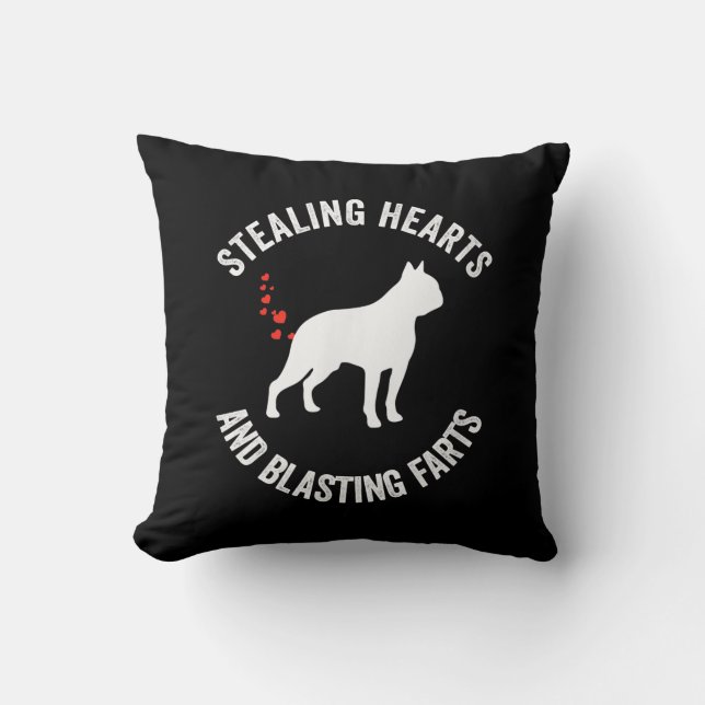 Heilung und Strahlen von Furzen Boston Terrier Kissen (Vorderseite)