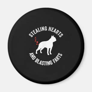 Heilung und Strahlen von Furzen Boston Terrier Magnet