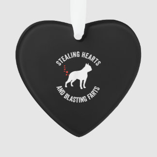 Heilung und Strahlen von Furzen Boston Terrier Ornament