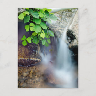Heilwasserstrom Postkarte
