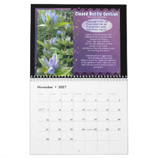 Heimische Pflanzen in Indiana Kalender