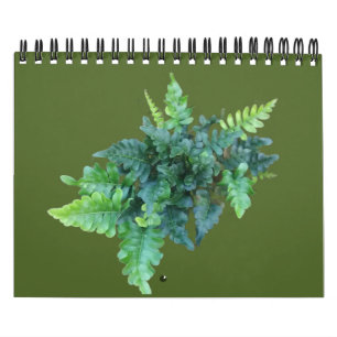 Heimische Pflanzen - Pazifischer Nordwesten Kalender