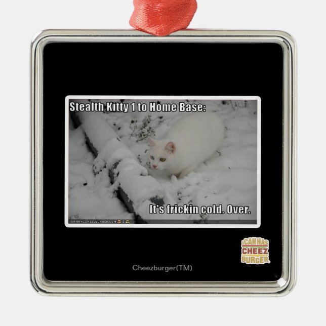 Heimlichkeits-Miezekatze 1 Ornament Aus Metall (Vorne)