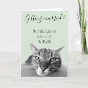Heiraten Ehe Katzen Humor Karte