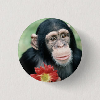 Heiraten Sie mich? Button