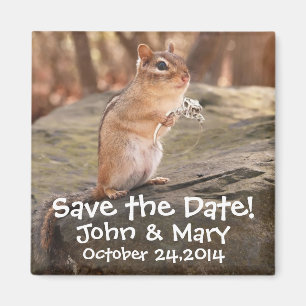 Heiraten Sie mich Chipmunk Save the Date! Magnet