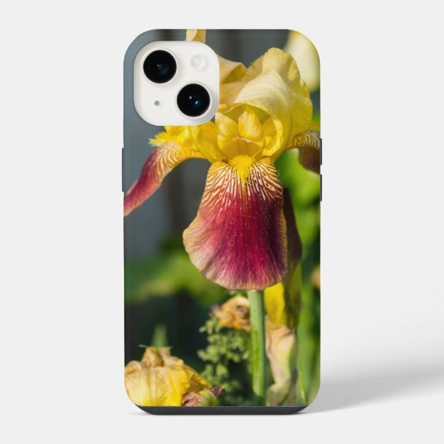 Heirloom Iris iPhone Case 14 Hülle (Rückseite)