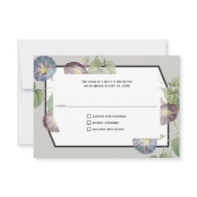 Heirloom moderne Morning Glory Réponse