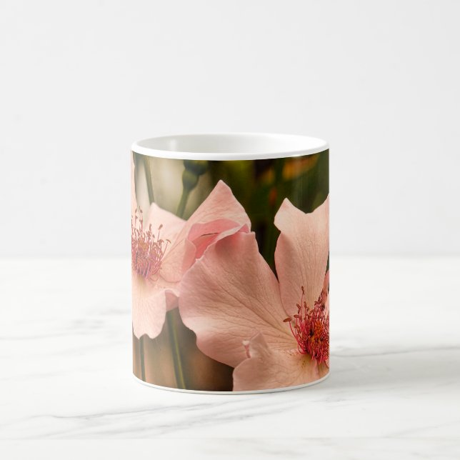 Heirloom Pink Rose Kaffeetasse (Mittel)