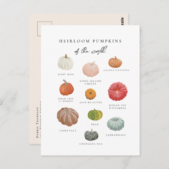 Heirloom Pumpkins Fall Postkarte (Vorne/Hinten)
