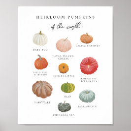 Heirloom Pumpkins Kunstdrucken Poster