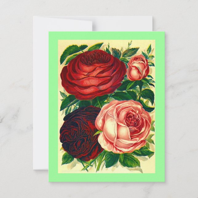 HEIRLOOM ROSE ~ HÜBSCHE GRADUATION PARTEIEN ERSUCH EINLADUNG (Vorderseite)