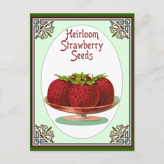 Heirloom Strawberry Seeds Postkarte (Vorderseite)