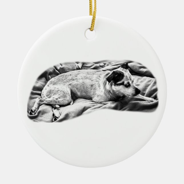 Heirloom Terrier, Ruhen und Bereit Keramik Ornament (Vorne)